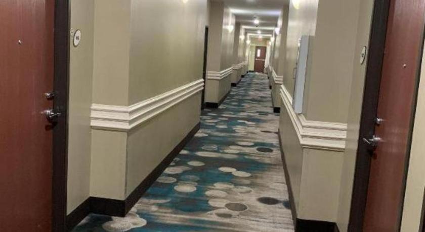 Rodeway Inn & Suites Winnfield Ngoại thất bức ảnh